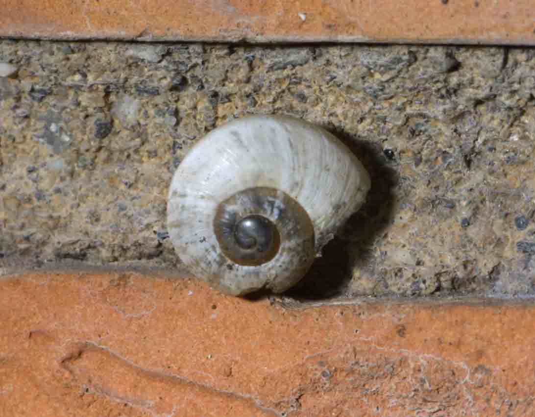 Mattinata piovosa 4